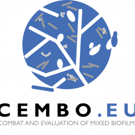 Talk on CEMBO Workshop – Zuzana Reptová, Horizon Europe for young researchers