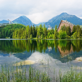 „Workshop: From Biological Chemistry to Microbial Control“