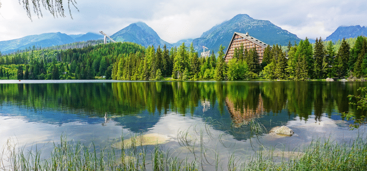 „Workshop: From Biological Chemistry to Microbial Control“