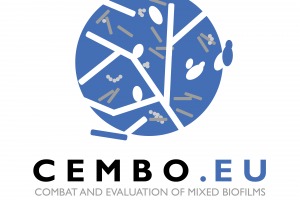 Talk on CEMBO Workshop – Zuzana Reptová, Horizon Europe for young researchers